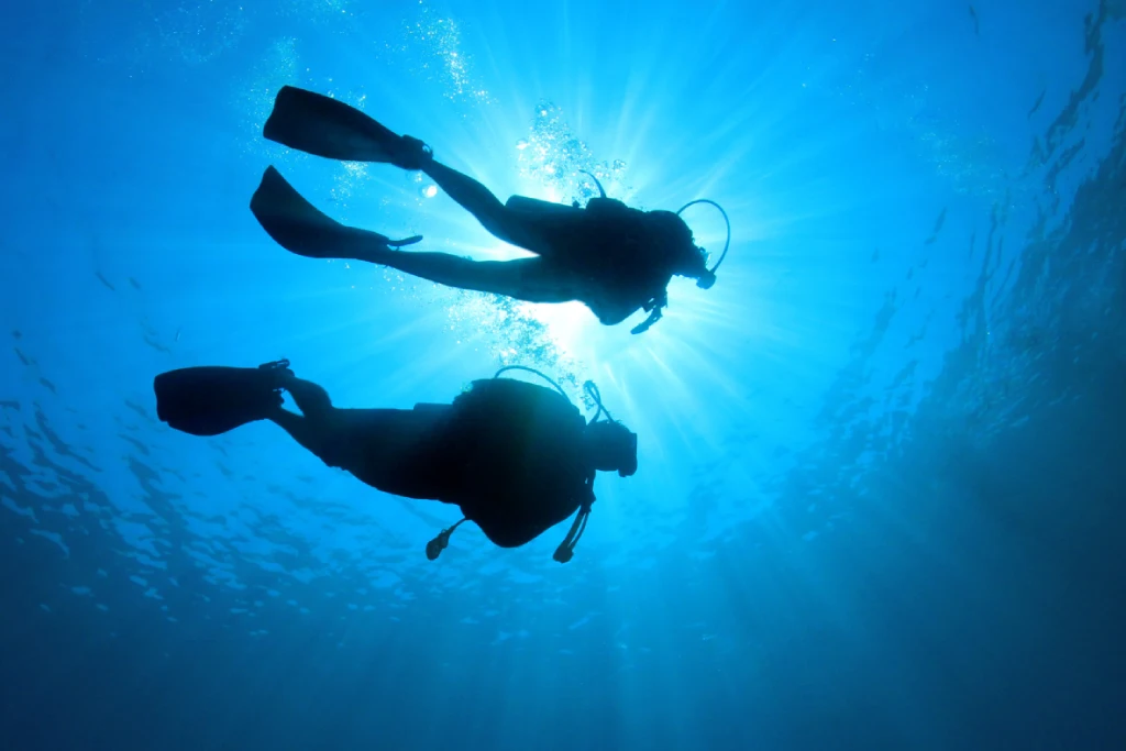 Explore underwater worlds in lakes and reservoirs.